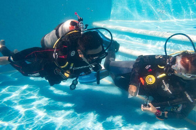 Two reef discovery dives with professional instructor (no experience necessary) - My Take: What Makes This a Smart Beginner Reef Day