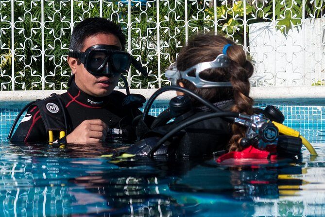 Two reef discovery dives with professional instructor (no experience necessary) - Your Reef Discovery Schedule (With Real Expectations)