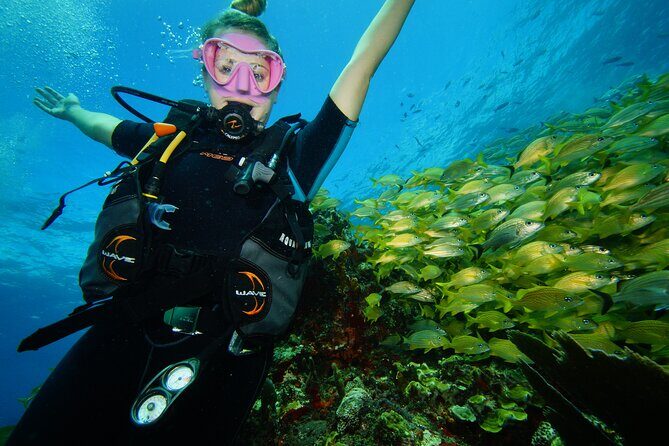 Two Reefs For Certified Divers in Cancun - Key Highlights You Can Plan Around