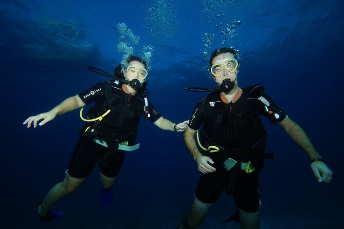 Two Reefs For Certified Divers in Cancun - What to Expect Underwater: Coral Life, Fish, and Occasional Big Encounters