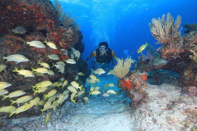 Two Tanks Scuba Diving for Beginners in Cancun - Check-In to Boat Departure: How the Morning Actually Flows