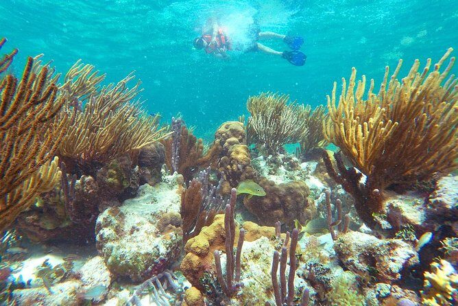 Ultimate 5x1 Combo with ATV, Ziplines, Cenote & Reef Snorkeling - The big idea: a sea-and-jungle combo in one Cancun day