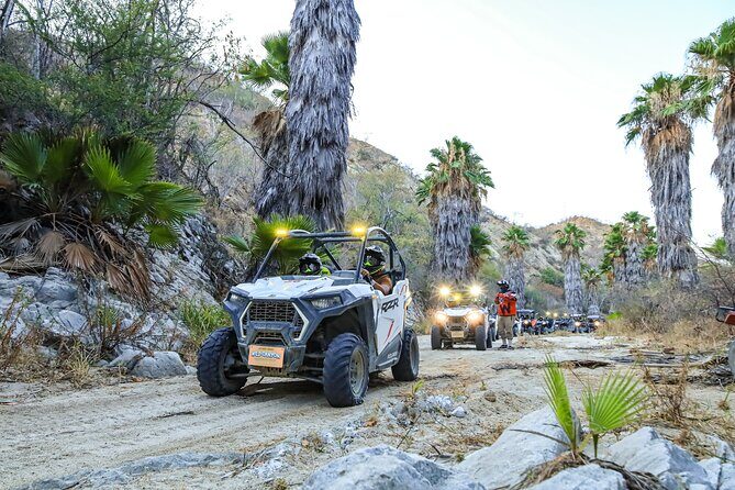 Ultimate UTVs Adventure - Quick Key Points You’ll Care About