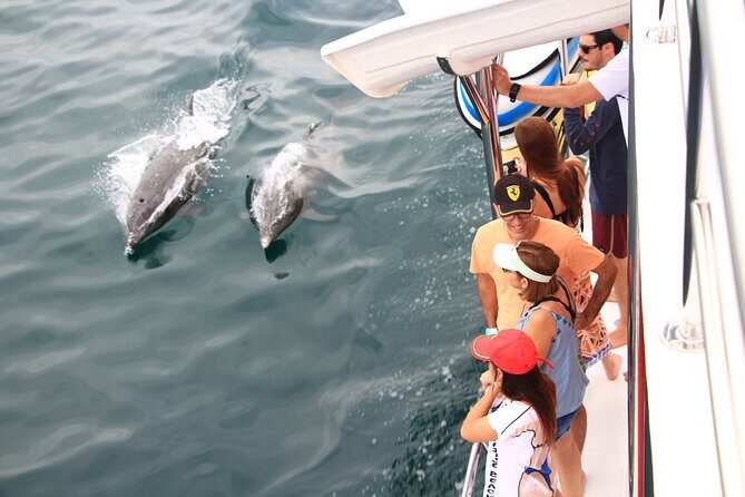 Ultimate Whale Watching Experience All-Inclusive - Food and Open Bar: It’s Not Just Included, It’s Thought Through