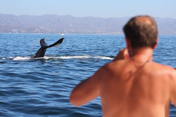 Ultimate Whale Watching Experience All-Inclusive - Snorkeling and Water Toys: Included Gear Beats the Usual Upcharges