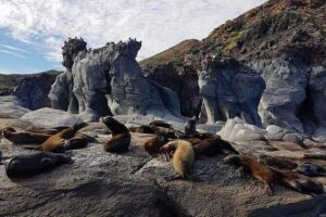 UNESCO World Heritage Site: 1 Day Coronado Island from Loreto Adventure - Isla Carmen on the way: sea lions, rock formations, and the easy start