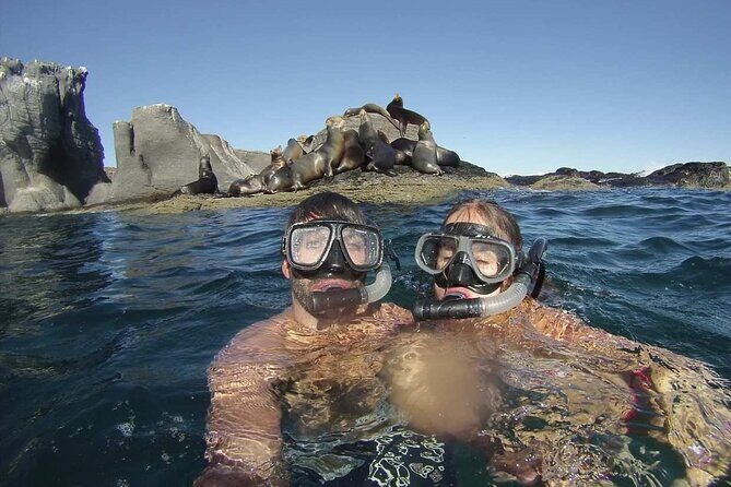 UNESCO World Heritage Site: 1 Day Coronado Island from Loreto Adventure - Snorkeling in the Sea of Cortez: what you get and what to watch