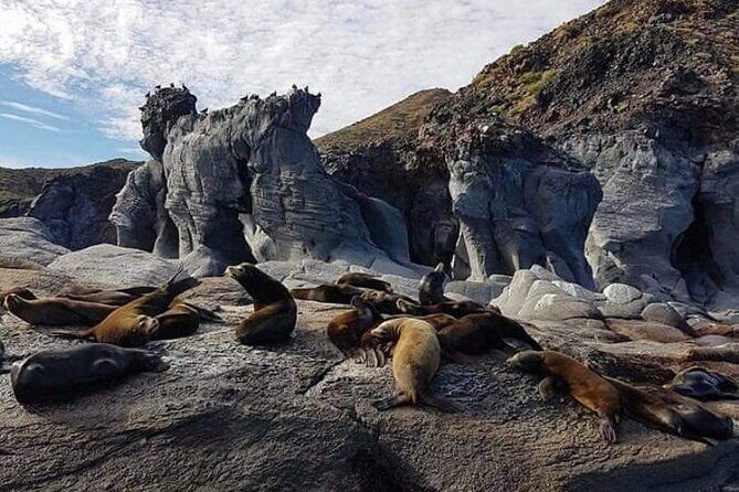UNESCO World Heritage Site: 1 Day Coronado Island from Loreto Adventure - Isla Carmen on the way: sea lions, rock formations, and the easy start