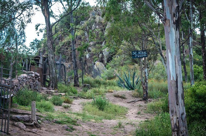 Unique cablecar experience, pulque tasting &unbeatable views - Pulque Tasting: What It Feels Like and Why It Matters