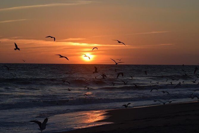 Unique Turtle Sanctuary & Sunset Experience - Budget reality: $62 price tag, plus sanctuary entrance fees