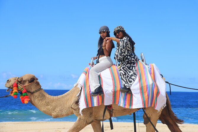 UTV Adventure with Free Camel Ride and Sky Bikes - Camel encounter and beach riding: what to expect and how to handle it respectfully