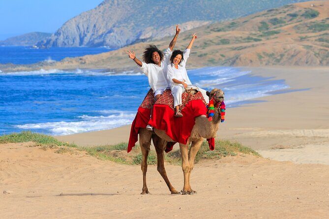 UTV Adventure with Free Camel Ride and Sky Bikes - Tequila tasting: a small stop that won’t steal your day