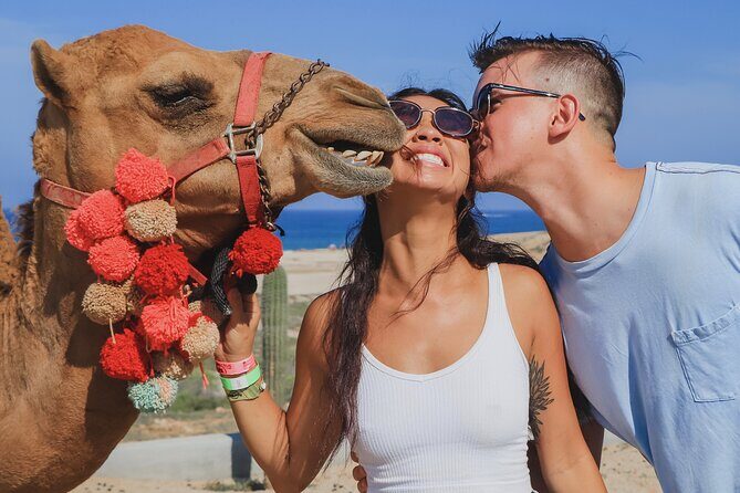 UTV Adventure with Free Camel Ride and Sky Bikes - Pickup in Cabo: why this tour is easier than self-planning
