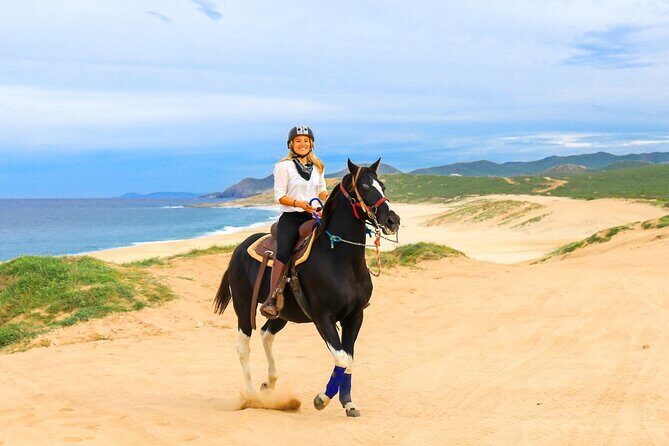 UTV, Free Horseback Ride, and Sky Bike Adventure Combo - From Hotel Pickup to Cactus Tours: Gear Up and Get Your Bearings