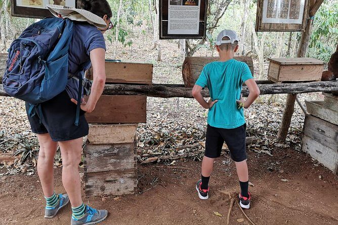 Valladolid Mayan Bees Tour with Lunch or breakfast and Honey Tasting - Why the Xkopek Mayan Bees Tour feels different in Valladolid