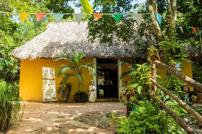 Valladolid Mayan Bees Tour with Lunch or breakfast and Honey Tasting - Wild hives and the stingless bee reality check