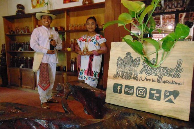 Valladolid Mayan Bees Tour with Lunch or breakfast and Honey Tasting - Jungle path to the meliponario: where honey production becomes real