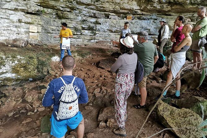 Valladolid Mayan Bees Tour with Lunch or breakfast and Honey Tasting - Honey tasting: what to expect and how to enjoy it