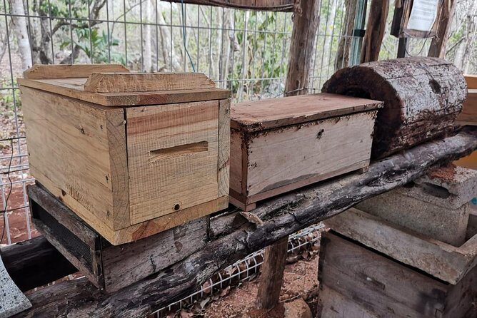 Valladolid Mayan Bees Tour with Lunch or breakfast and Honey Tasting - Breakfast or lunch included: choosing what fits your day