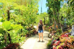 Vallarta Botanical Garden and Tequila Tasting from Puerto Vallarta - Stop 1: Jardin Botánico de Vallarta—native plants, birds, and humid walking