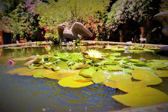 Vallarta Botanical Garden and Tequila Tasting from Puerto Vallarta - What this tour feels like in real life: guide style and pacing