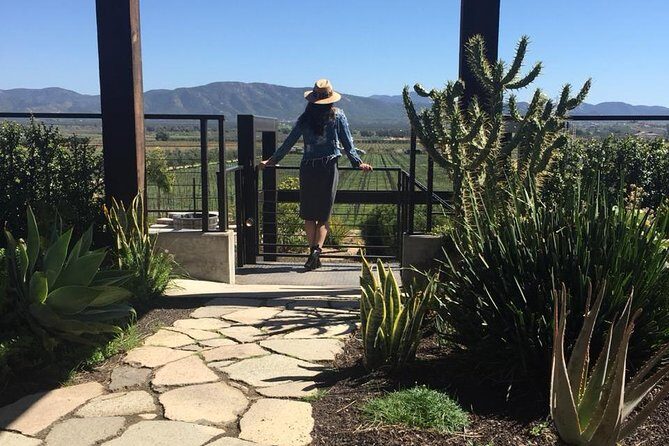 Valle de Guadalupe Couples Wine Tour - Valle de Guadalupe Is a Great Match for a Couples Wine Day
