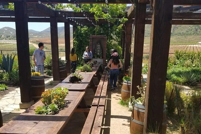 Valle de Guadalupe Couples Wine Tour - The Three Wineries: Villa Montefiori, Adobe Guadalupe, Vinos Pijoan