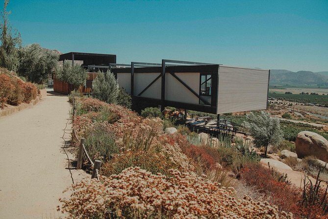 Valle de Guadalupe Couples Wine Tour - The Guide Factor: Andrea-Style Care and Local Confidence