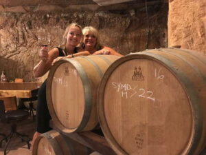 Valle de Guadalupe Wine Tasting Tour - Santo Tomás first: 90-year vines and the Cava San Antonio de las Minas experience