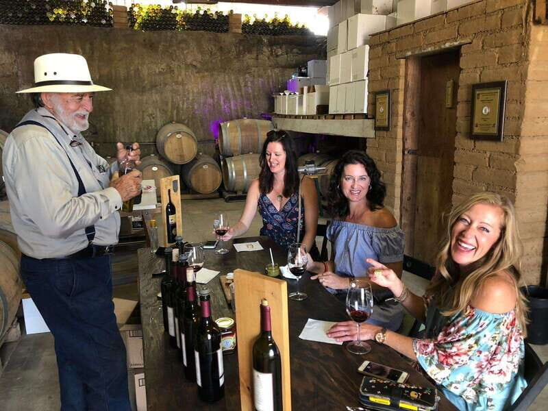 Valle de Guadalupe Wine Tasting Tour - Two boutique wineries: meeting owners, touring cellars, and tasting the range