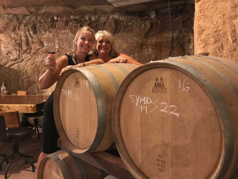 Valle de Guadalupe Wine Tasting Tour - Santo Tomás first: 90-year vines and the Cava San Antonio de las Minas experience