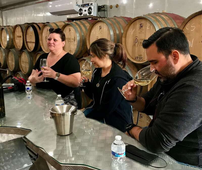 Valle de Guadalupe Wine Tasting Tour - Price and value: is $99 a fair deal for a Valle de Guadalupe day?