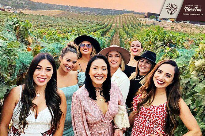 Valle de Guadalupe winery and brewery tours - Price and value: $450 per group up to 12