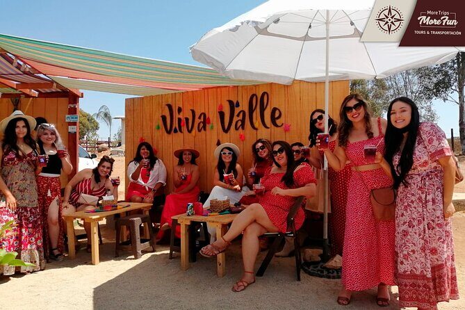 Valle de Guadalupe winery and brewery tours - Who this tour suits best in Valle de Guadalupe
