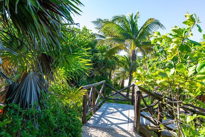 Viator Exclusive: Tulum Ruins, Reef Snorkeling, Cenote and Caves - Tulum Ruins: a guided hour plus time for your best photos
