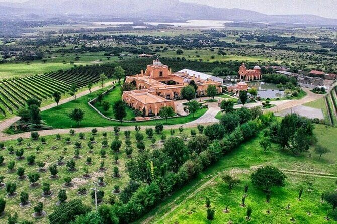 Vineyard, tour, tasting and fun in San Miguel de Allende - Key highlights you should know