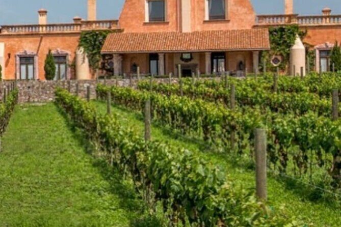 Vineyard, tour, tasting and fun in San Miguel de Allende - What the gardens and hacienda architecture teach you