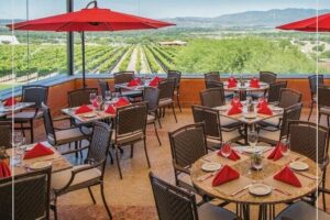 Vineyard, tour, tasting and fun in San Miguel de Allende - The production walk and cellar stop (where the tour gets real)