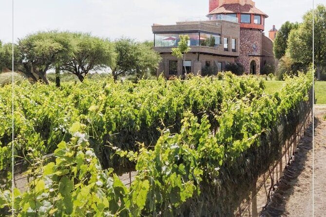 Vineyard, tour, tasting and fun in San Miguel de Allende - Price and value: does $100+ make sense?