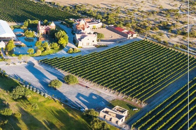 Vineyard, tour, tasting and fun in San Miguel de Allende - Timing, transport, and the one thing to watch
