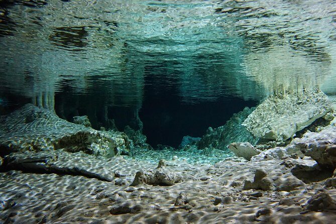 VIP Cenotes Private Tour - How snorkeling gear and a pro guide change the whole day