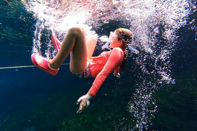 VIP Cenotes Private Tour (half-day) - VIP Cenotes in Playa del Carmen: how the half-day schedule actually feels