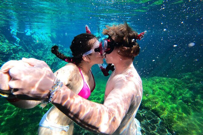 VIP Cenotes Private Tour (half-day) - The fresh ceviche stop: why the food choice matters