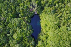 VIP Coba & Tulum Private Tour - Cenote Taak Bi Ha or Xunaan Ha: choose your water mood