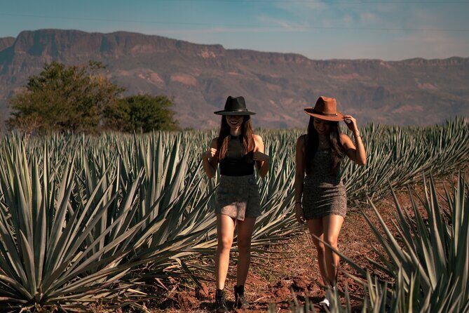 Vip Tequila Experience - VIP transport details that actually affect your comfort