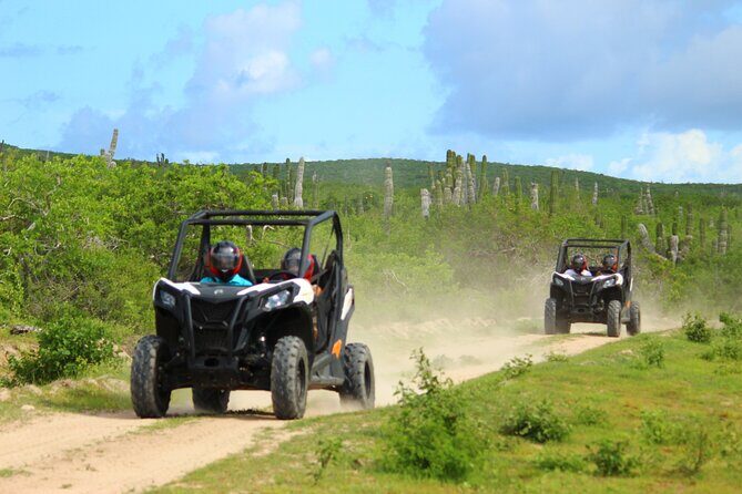Viper Trail UTV Small-Group Experience in Cabo San Lucas - Key points to know before you go