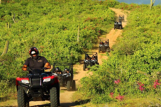 Viper Trail UTV Small-Group Experience in Cabo San Lucas - Snacks and included value: quesadillas, water, and less stress