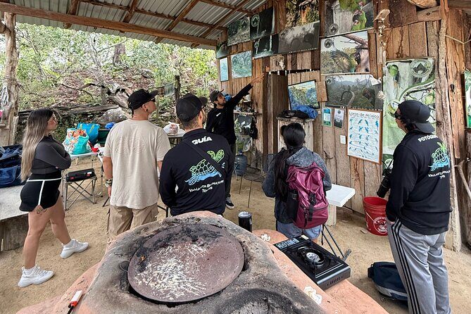 Visit the Sanctuary of the Guacamayas in free life - El Santuario De Las Guacamayas: Trails, Wild Birds, and a Viewpoint Stop