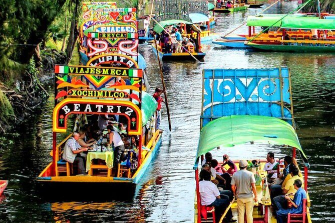 Visit to Xochimilco, Coyoacán and Ciudad Universitaria - Group Size, Guides, and English: How to Get the Experience You Want