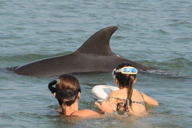 Watch and Swim with Dolphins in the Wild - Marina Vallarta start: where the day actually begins